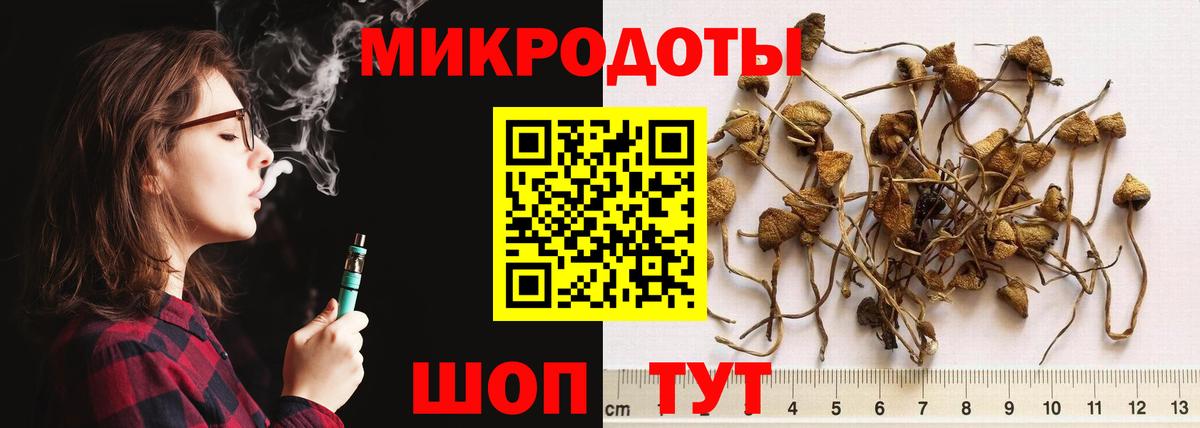 Галлюциногенные грибы GOLDEN TEACHER Новоуральск