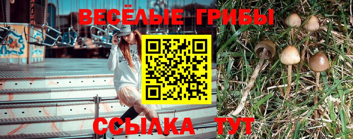 Псилоцибиновые грибы MAGIC MUSHROOMS  Вход с VPN  Новоуральск 